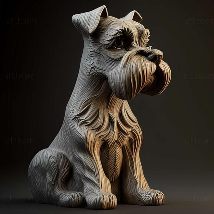 Zwergschnauzer dog